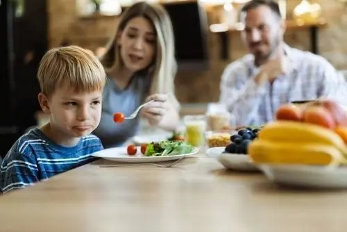 How to Manage Picky Eaters at Family Resorts: Complete Framework